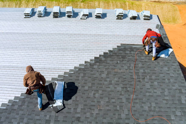 Best Storm Damage Roof Repair  in Pecan Acres, TX